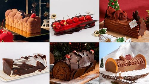 精选超正的巧克力圣诞树桐蛋糕
